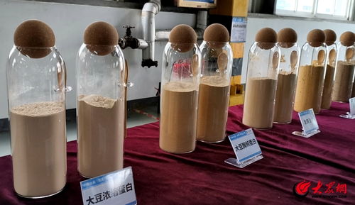 以生物科技賦能養(yǎng)殖業(yè)綠色轉(zhuǎn)型 中糧菏澤發(fā)布大豆酶解蛋白 發(fā)酵豆粕新產(chǎn)品